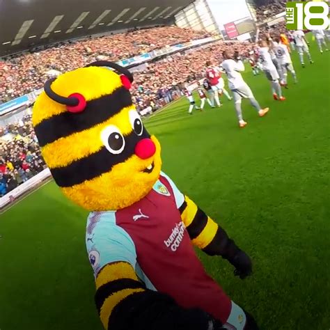 Mascots squaring off in a soccer battle